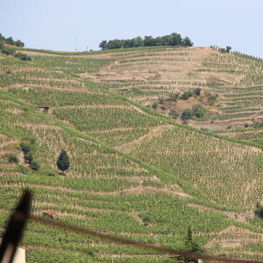 Hermitage Hill from Thonon-sur-Rhone